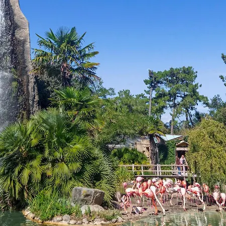 Dom wakacyjny Gorgeous In Saint-georges-de-didon Saint-Georges-de-Didonne