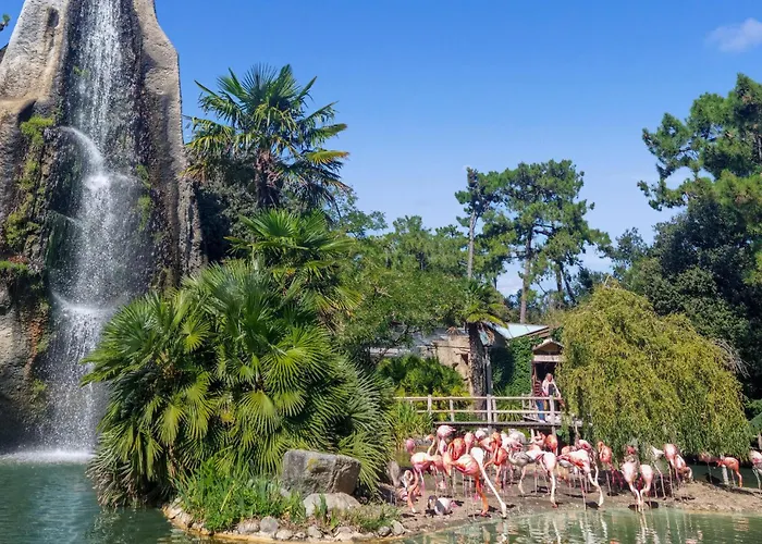 Holiday home Gorgeous In Saint-georges-de-didon Saint-Georges-de-Didonne